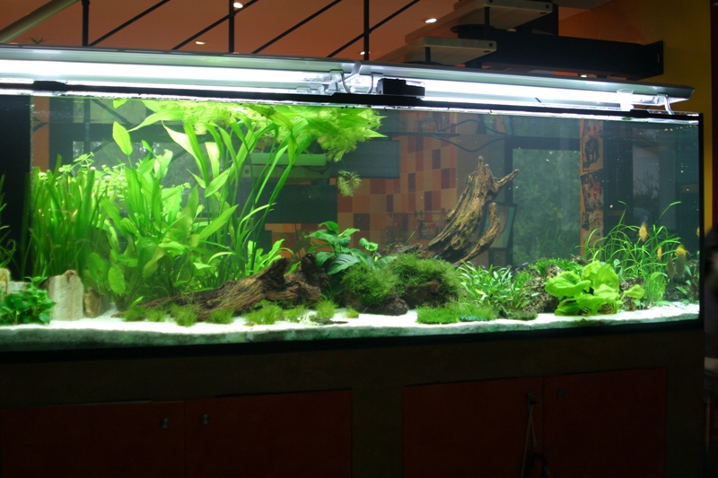 1300 litres - Page 4 276_7623
